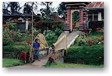 Girls in Bali, Indonesia&nbsp; 1994