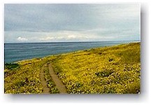 Cambria, California&nbsp; June 98