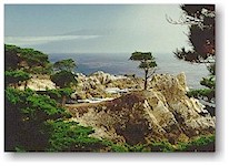 Carmel, California&nbsp; June 98
